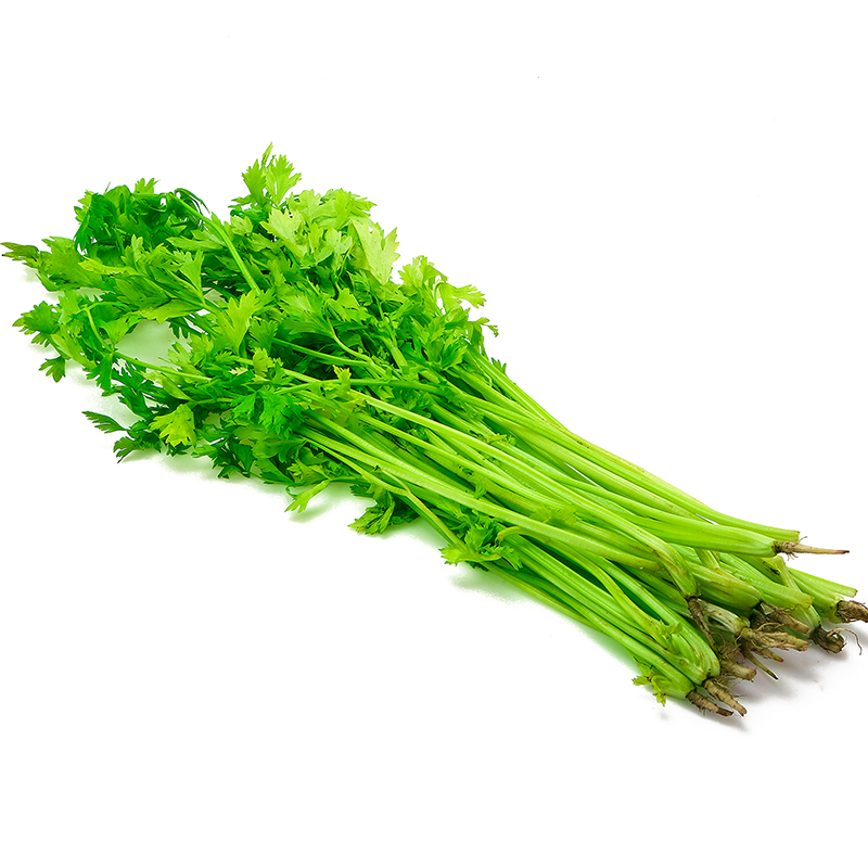 1567406237133342.jpg 香芹.jpg