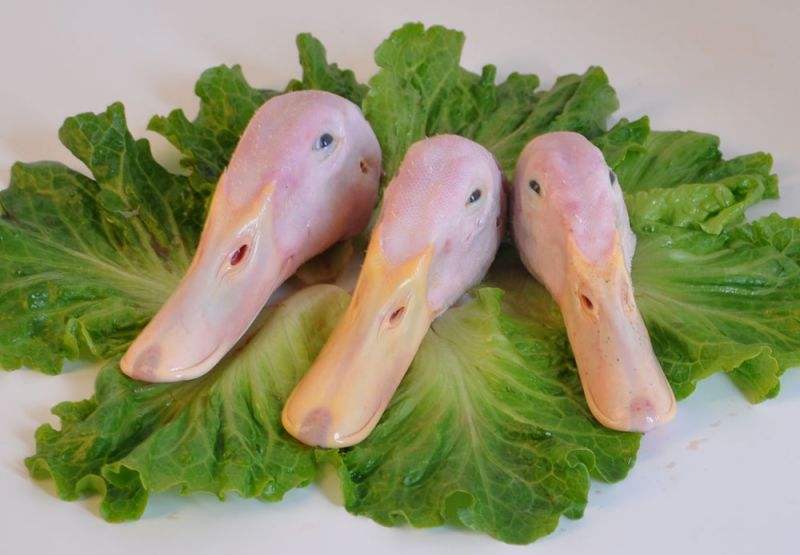 1567411647177678.jpg 鴨頭.jpg