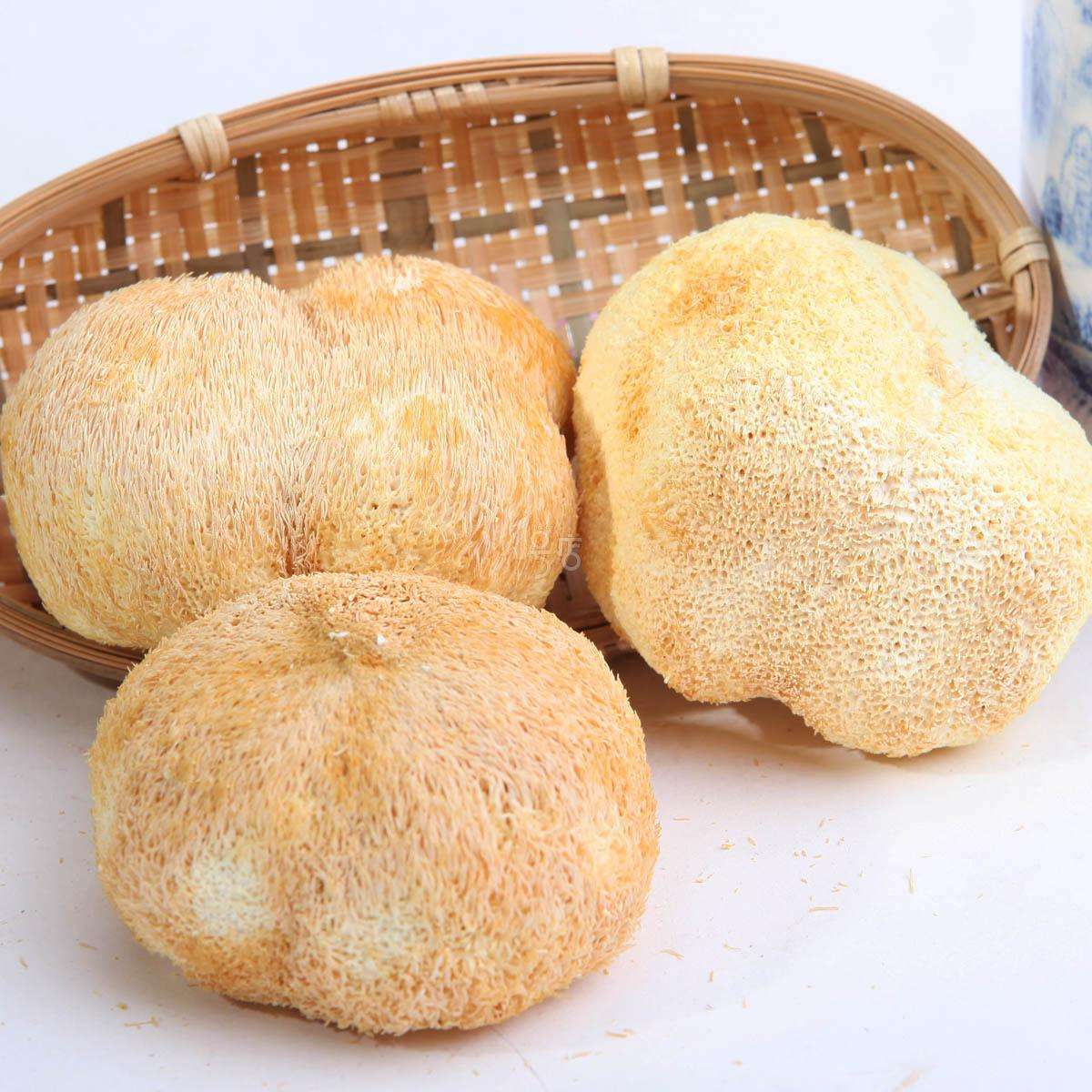 1567413498829351.jpg 猴頭菇.jpg