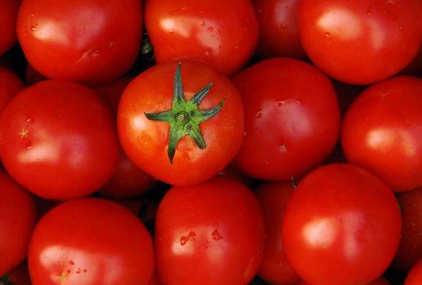 西紅柿的選購 西紅柿的選購
