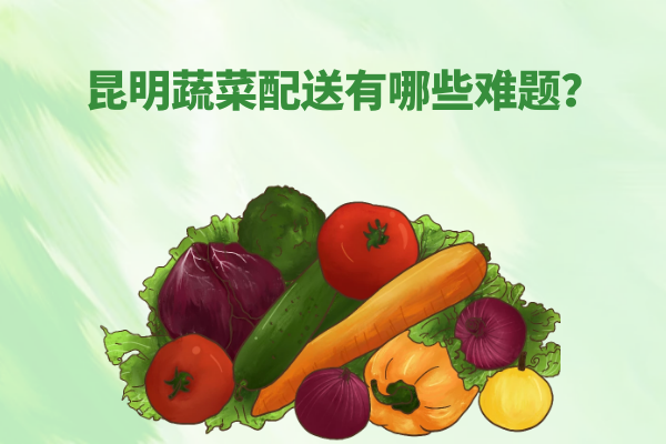 昆明蔬菜配送有哪些難題？