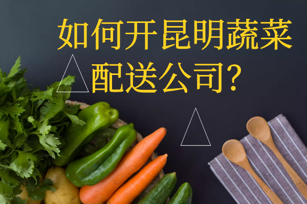 如何開昆明蔬菜配送公司？